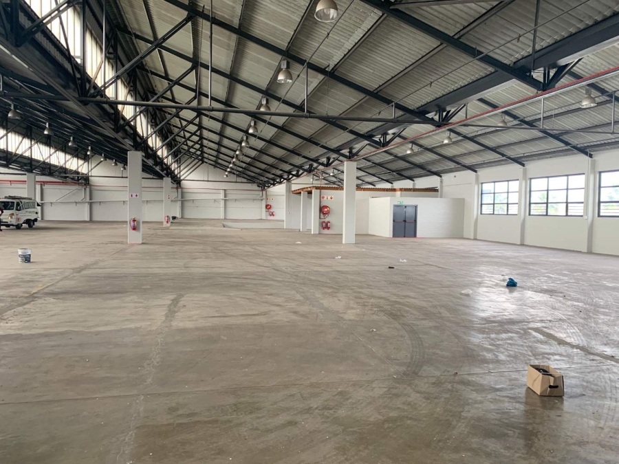 To Let Commercial Property for Rent in Paarden Eiland Western Cape